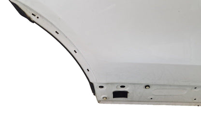 17-ON LAND ROVER DISCOVERY L462 REAR RIGHT O/S/R COMPLETE DOOR WHITE LRC867