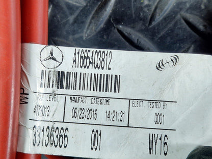 16-19 MERCEDES BENZ GLE W166 GENUINE POSITIVE BATTERY CABLE A1665403812