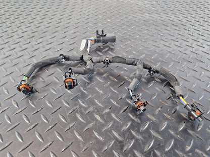 Land Rover Range Rover Evoque L551 2.0 Petrol Injector Wiring Loom H4P3-9D930-CB
