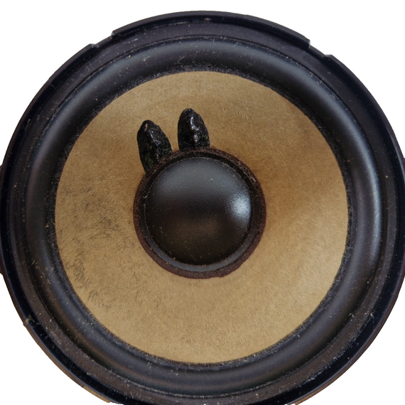 17-24 AUDI S5 F5 GENUINE OEM FRONT DOOR SPEAKER FITS LEFT & RIGHT SIDE 8W0035303