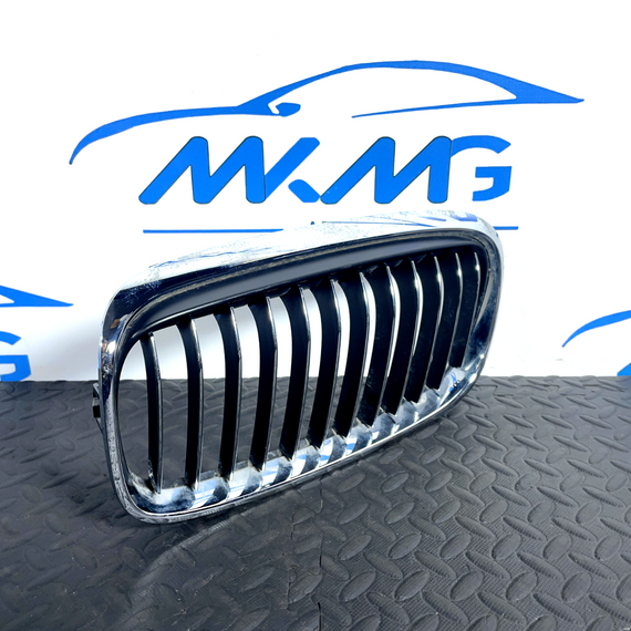 16-22 BMW X1 F48 FRONT LEFT PASSENGER SIDE BUMPER KIDNEY LUXURY GRILL 7379609