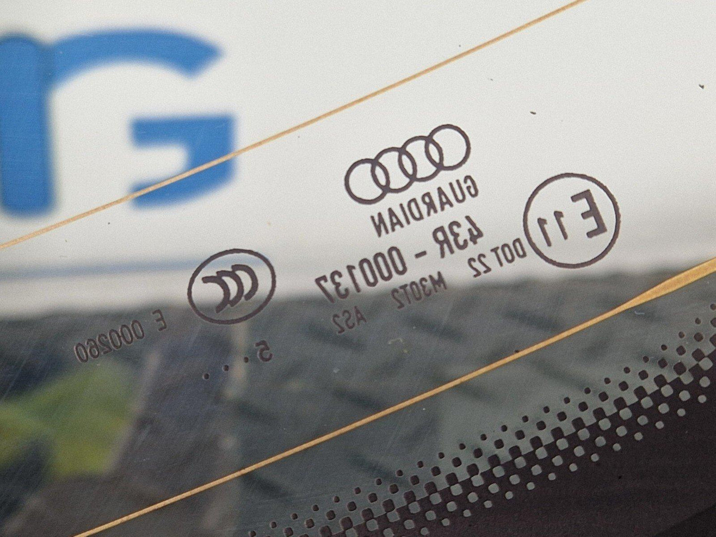 16-19 AUDI A4 B9 REAR WINDSHIELD WINDSCREEN WINDOW GLASS 8W5845501