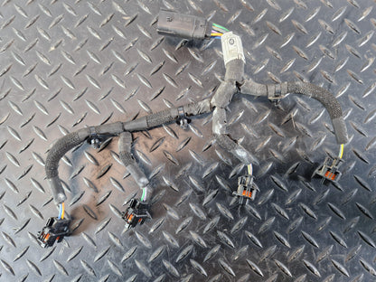 Land Rover Range Rover Evoque L551 2.0 Petrol Injector Wiring Loom H4P3-9D930-CB