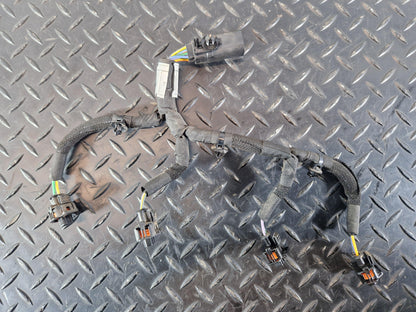 Land Rover Range Rover Evoque L551 2.0 Petrol Injector Wiring Loom H4P3-9D930-CB