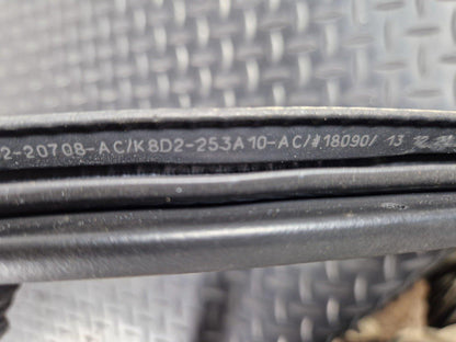 19-ON RANGE ROVER EVOQUE L551 GENUINE REAR RIGHT O/S DOOR SEAL K8D2-253A10-AC