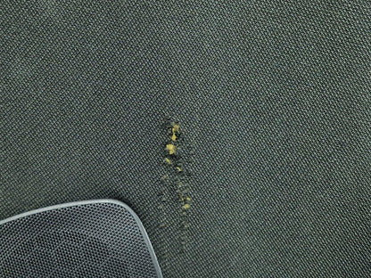 10-15 AUDI Q7 4L S-LINE GENUINE BLACK ROOF HEADLINER 4L0867505AN