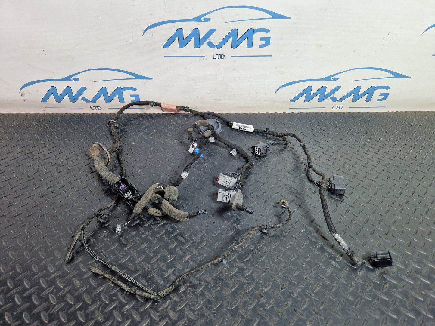 Range Rover Evoque L538  Left Passenger Rear Door Wiring Harness HJ3214632