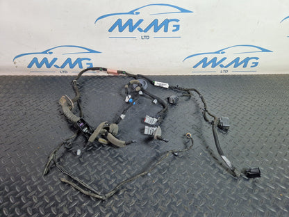 Range Rover Evoque L538  Left Passenger Rear Door Wiring Harness HJ3214632