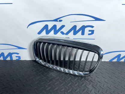 16-22 BMW X1 F48 FRONT LEFT PASSENGER SIDE BUMPER KIDNEY LUXURY GRILL 7379609