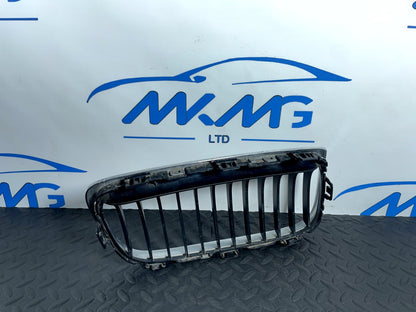 16-22 BMW X1 F48 FRONT LEFT PASSENGER SIDE BUMPER KIDNEY LUXURY GRILL 7379609