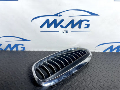 16-22 BMW X1 F48 FRONT LEFT PASSENGER SIDE BUMPER KIDNEY LUXURY GRILL 7379609