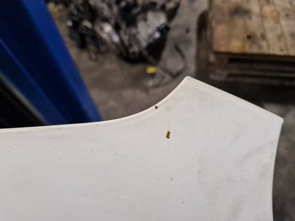 Vauxhall Combo MK3 (D) (61VO) Cargo Van Bonnet Hood Panel in White 5PU