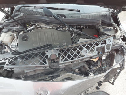 2019, Mercedes-Benz, B200d, B-Class W247, WDD2470122J071431