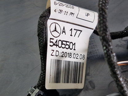 18-ON MERCEDES BENZ A CLASS W177 OEM REAR DRIVER SIDE RIGHT DOOR PANEL TRIM