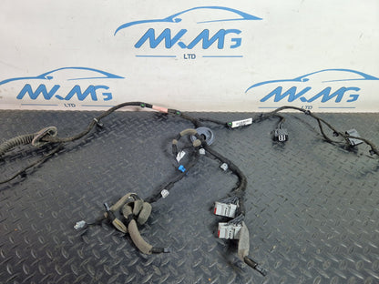 Range Rover Evoque L538  Left Passenger Rear Door Wiring Harness HJ3214632