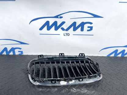 16-22 BMW X1 F48 FRONT LEFT PASSENGER SIDE BUMPER KIDNEY LUXURY GRILL 7379609