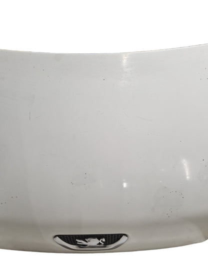 Peugeot Bipper MK1 (Ph1) (A9) Cargo Van Genuine Front Bonnet Hood Panel